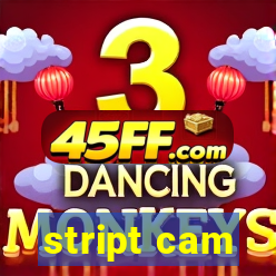 stript cam